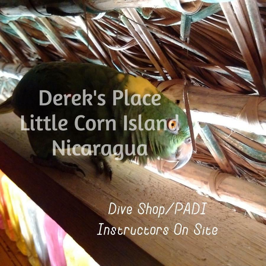 Derek'S Place Eco-Lodge Little Corn Island Exterior foto